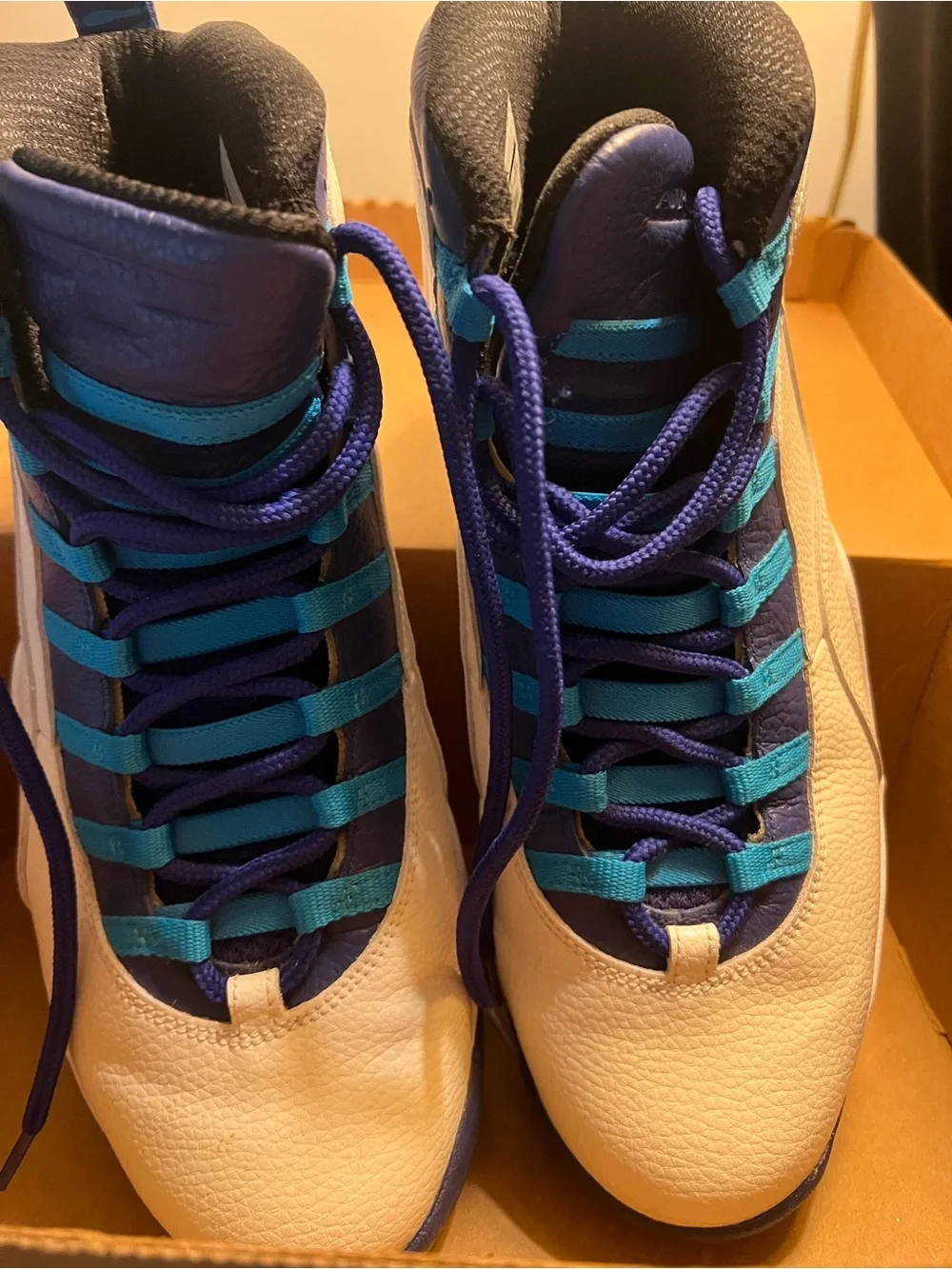 Nike Jordan 10 City Edition-Charlotte Hornets Mens 13
